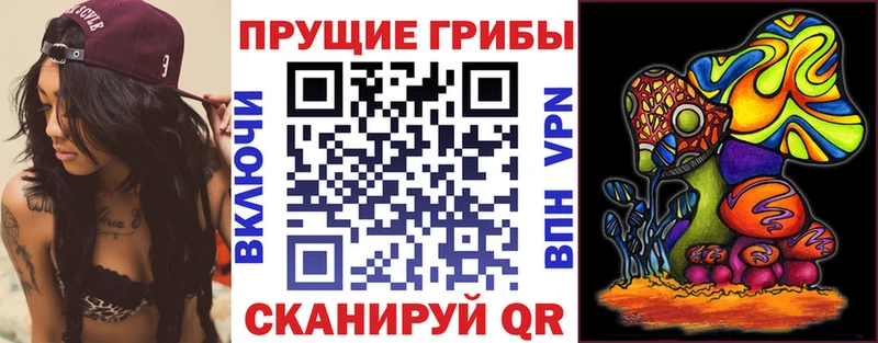Псилоцибиновые грибы ЛСД  где можно купить наркотик  Звенигово 